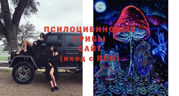 прущий лед Дмитров