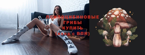 прущий лед Дмитров