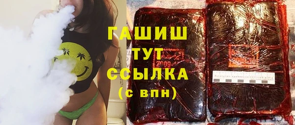 СК Ельня