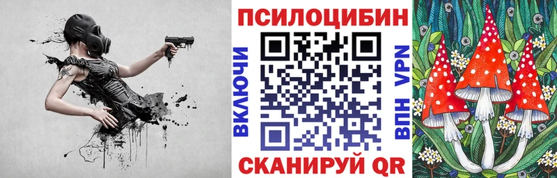 наркошоп  Камызяк  Галлюциногенные грибы GOLDEN TEACHER 